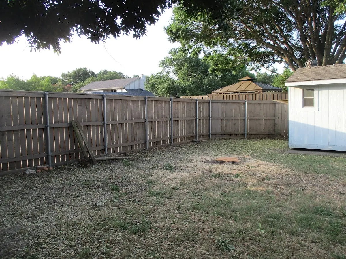 Cleared yard after professional tree removal in Cresson